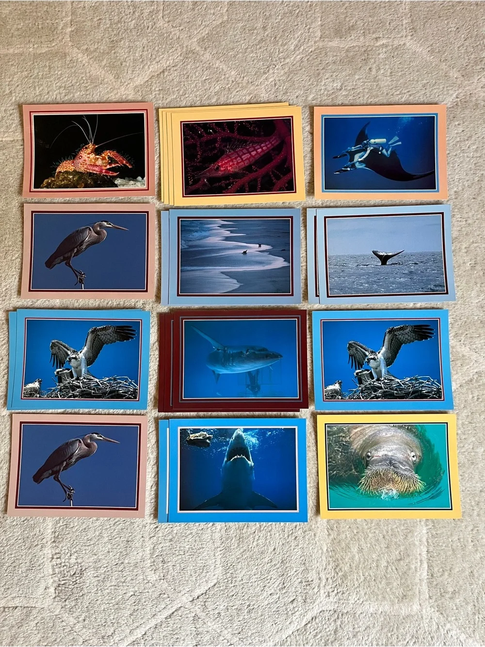 Lot of Vintage CA Postcards